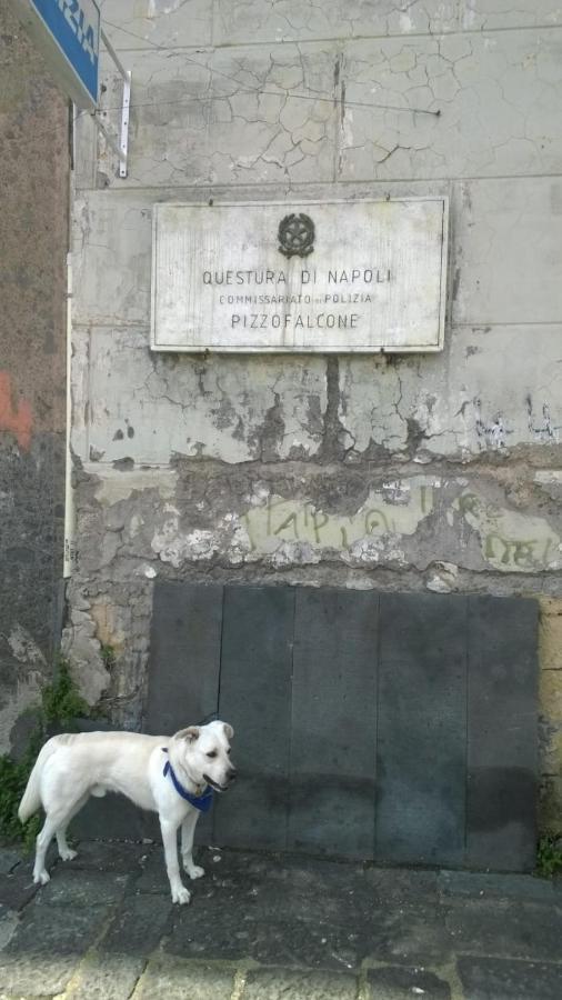 Casa Antica Pizzofalcone Napoli